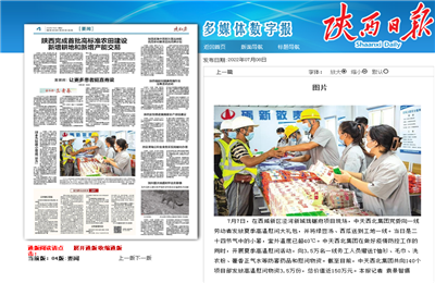尊龙西北集团珑樾府项目高温慰问——《陕西日报》